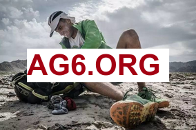 哈兰德谈儿时偶像：伊布、阿圭罗、范佩西、瓦尔迪都是我学习榜样